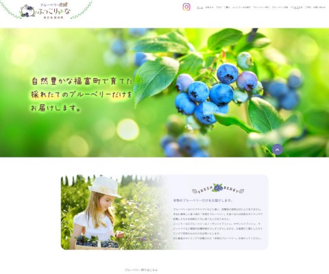 広島県東広島市 果樹園